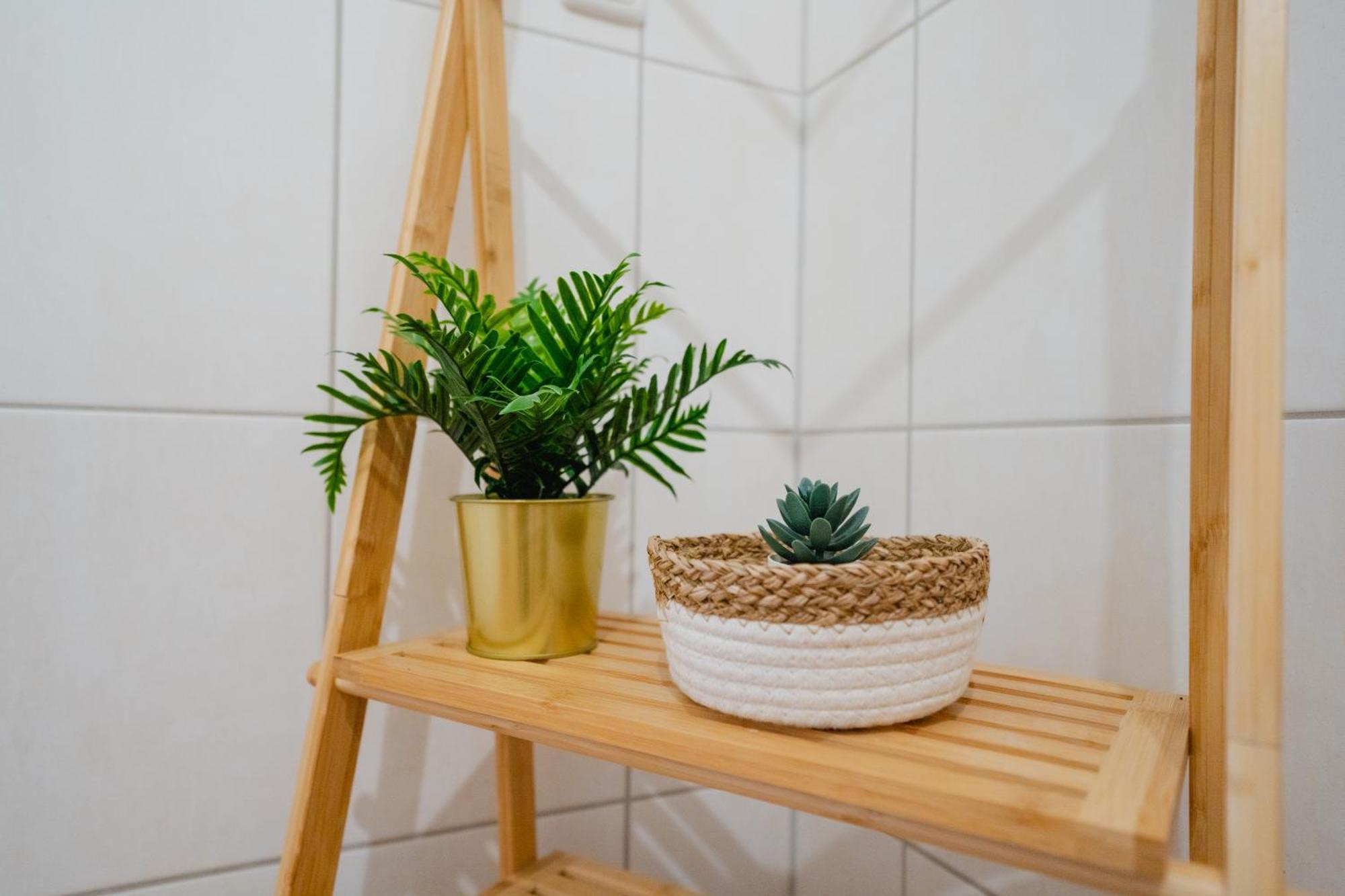 Apartment Blue Chili 02 - Md Zentral Carre Wlan Magdeburg