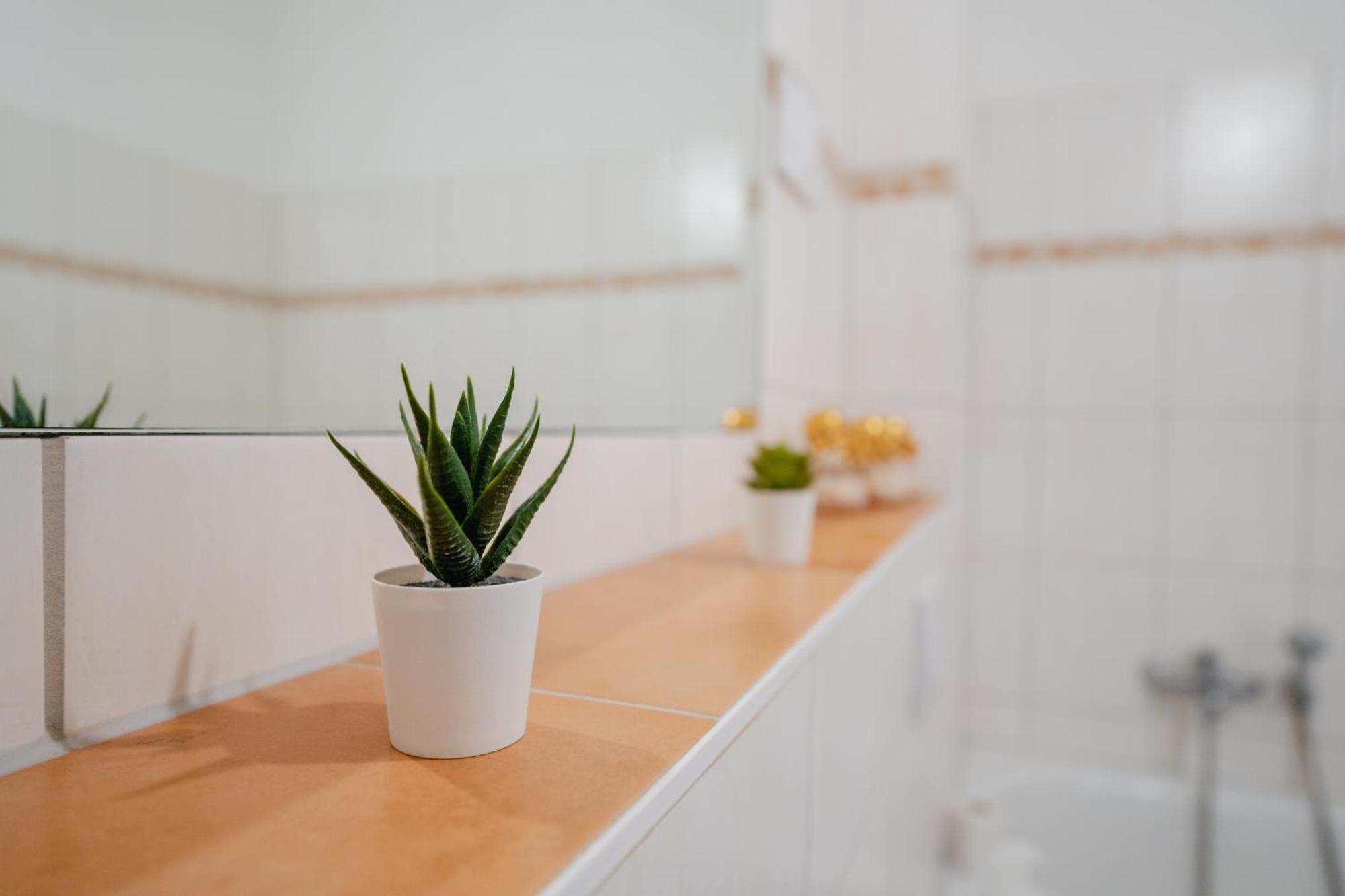 Apartment Blue Chili 02 - Md Zentral Carre Wlan Magdeburg